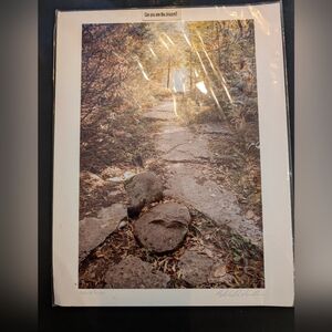 Nature Pathway Art Print